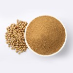 Coriander Masala